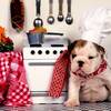 Recipe Photo
