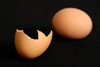 Brown Chicken Egg and Egg Shell