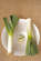 Recipe Photo