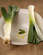 Recipe Photo