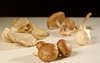 Beacan Bruithe (Baked Mushrooms) [Irish]