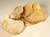 Recipe Photo