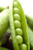 15 Bean and Winter Squash Not Chili