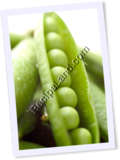 Recipe Photo