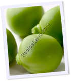 Recipe Photo