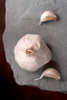 40 Clove Garlic Chicken