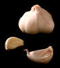Garlic Dip