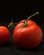 Recipe Photo