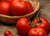Recipe Photo
