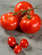 Recipe Photo