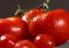 Arugula Tomato Topping