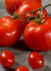 Arugula and Tomato Salad