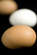Recipe Photo