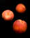 Recipe Photo