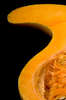 Thanksgiving Orange Pumpkin Apple Cake