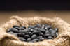Black Bean Soup