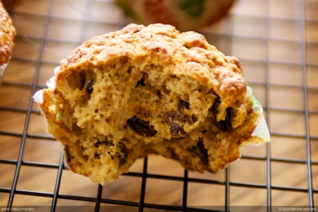 Low Fat Oatmeal Muffin 4