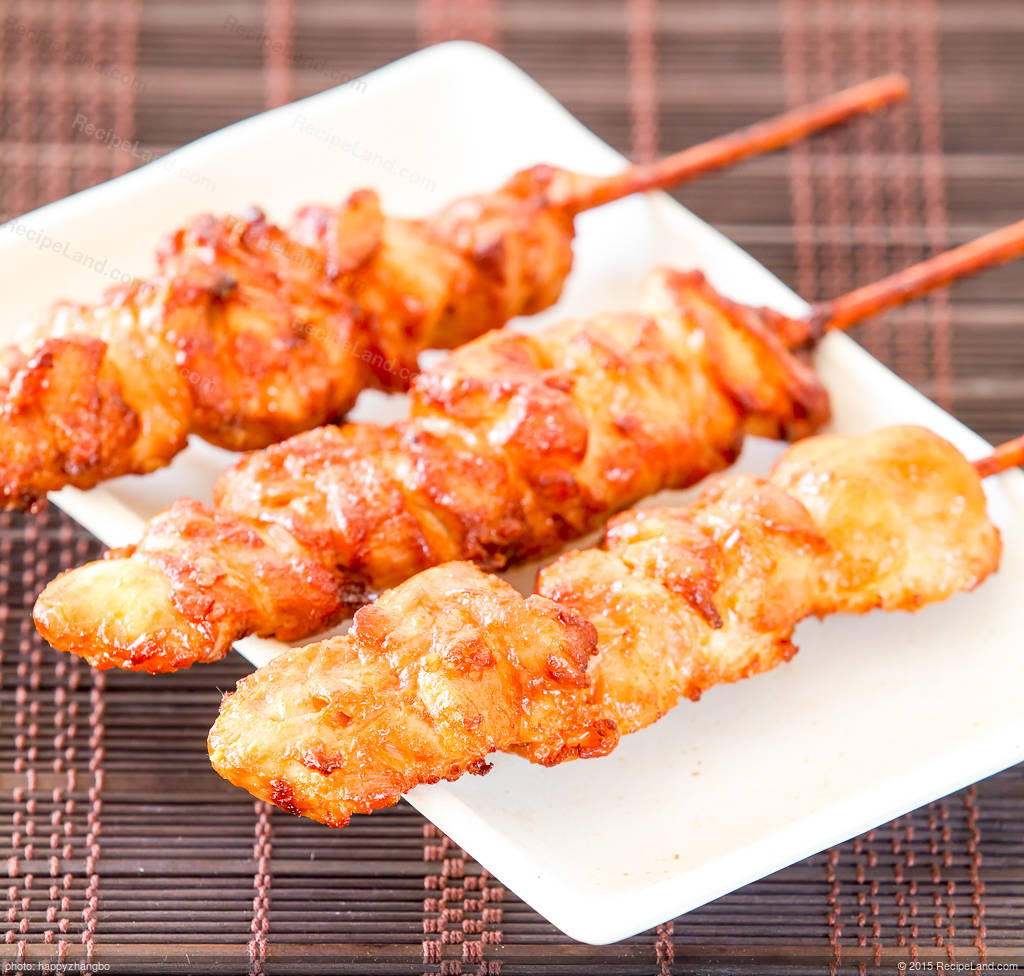 Satay Recipe | RecipeLand.com