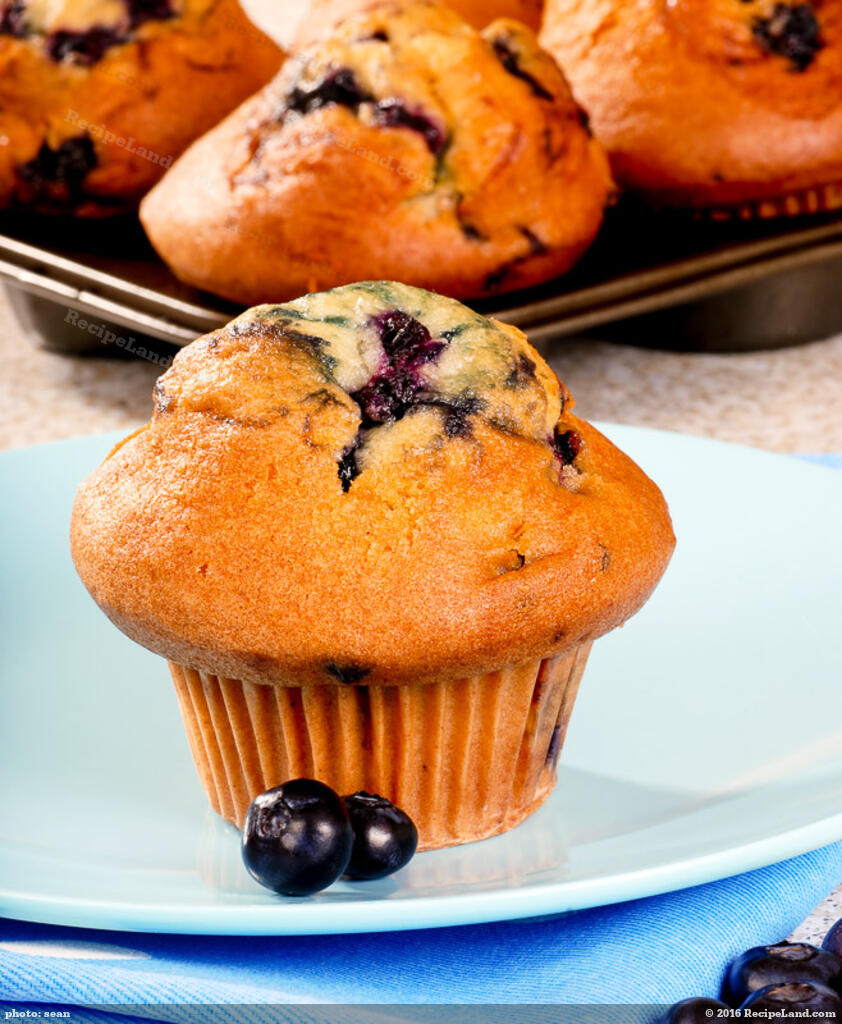 jumbo blueberry muffins with streusel topping