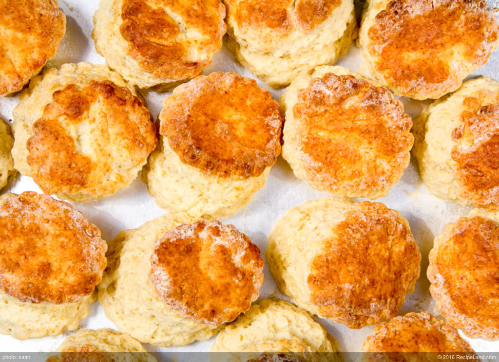 Mary Rogers S Sourdough Biscuits Recipe