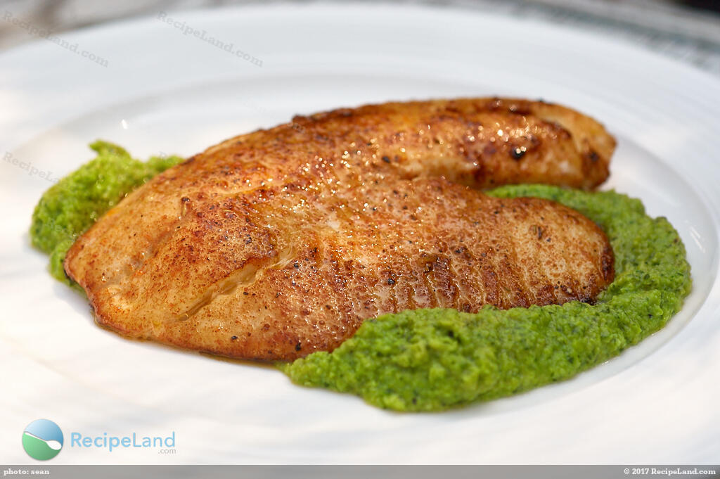 grilled flounder fillet recipes