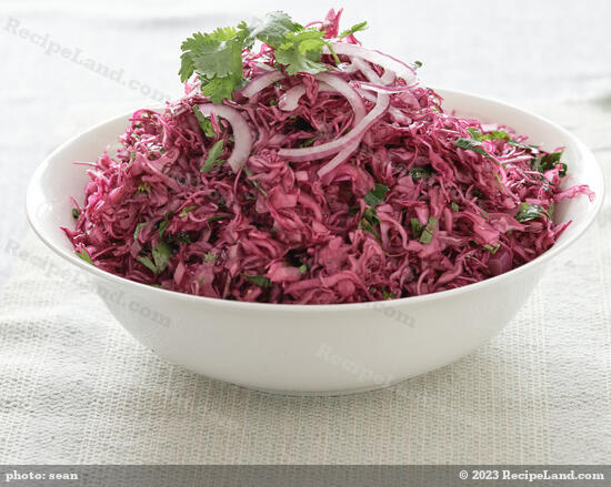 Asian Red Cabbbage Coleslaw