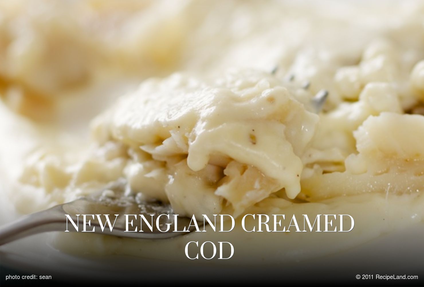 New England Creamed Cod