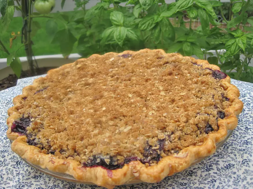 Fresh Blueberry Crumb Pie Recipe