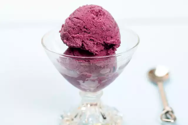 Blueberry Frozen Yogurt