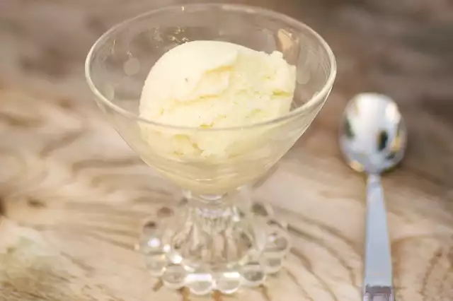 Buttermilk Custard Vanilla Frozen Yogurt
