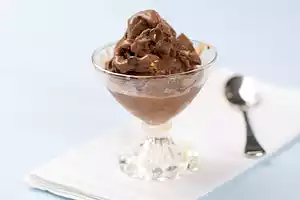 Chocolate Chip and Walnut Chocolate Ice Cream-Low Fat