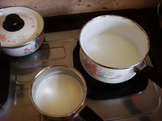 Homemade Clay Pot Curd
