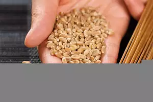 Whole Grains lead to Weight Loss, Lower Body Fat and Heart Health