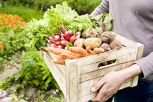 Walmart announces plans to bring more local produce to your plate