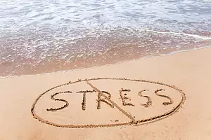 Stop the Stress!