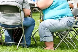 Global Obesity on the Rise, Despite Increased Exercise Rates
