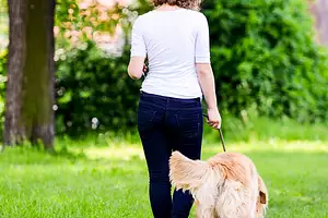 How To Boost Your Mood With Your Daily Walk