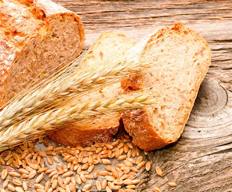 Mennonite Whole Wheat Bread