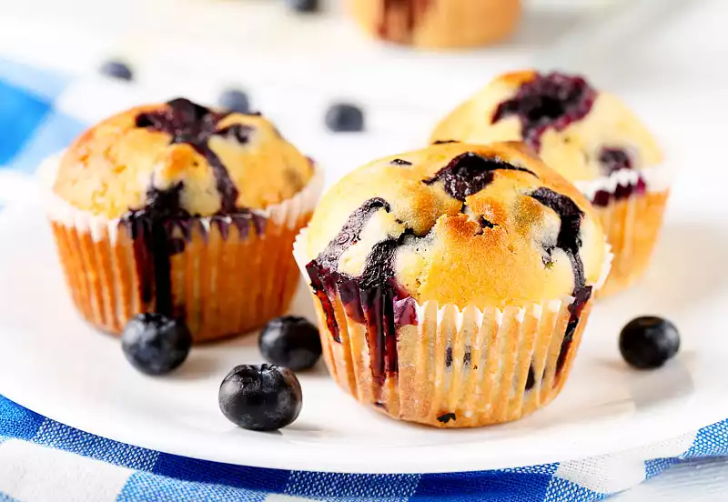Fresh and Delicate Blueberry Muffins