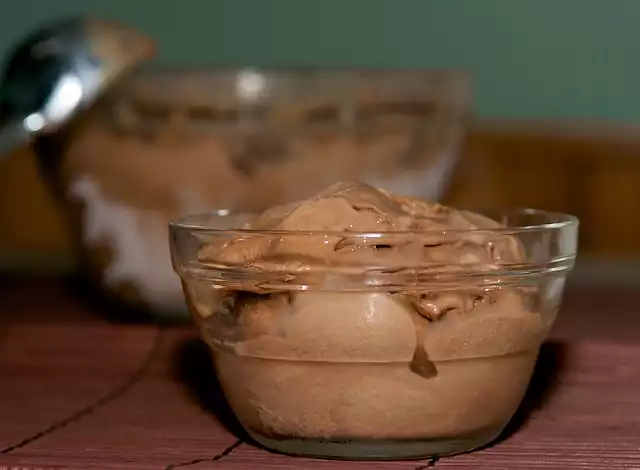 Homemade Chocolate Ice Cream