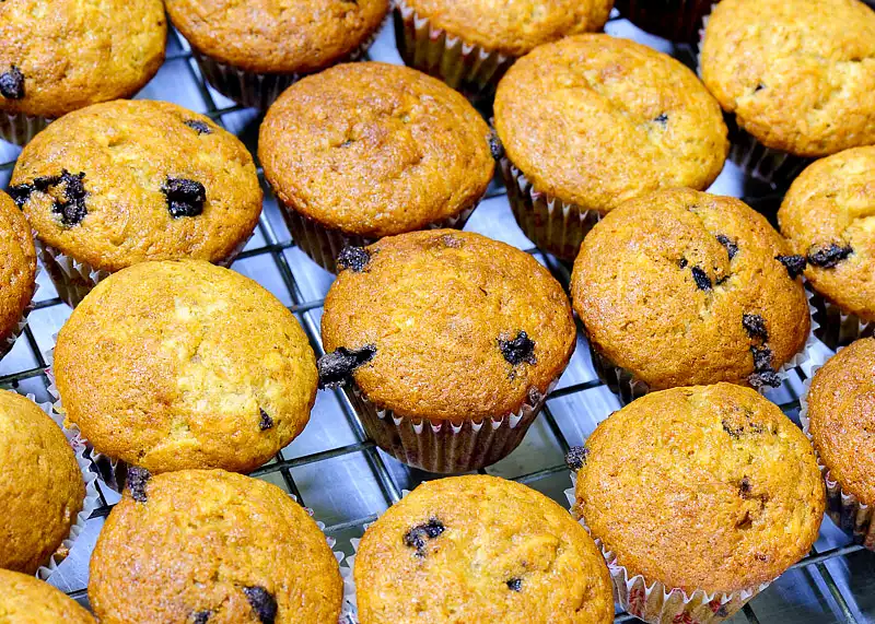 Blueberry Tasty Muffins