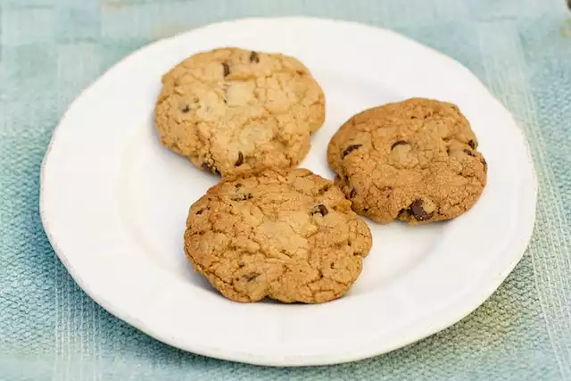 Low Calorie Low Fat Chocolate Chip Cookies (revised even lower)