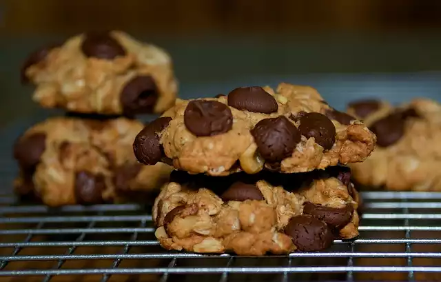 Low Fat and Low Calorie Oatmeal Chocolate Chip Cookies