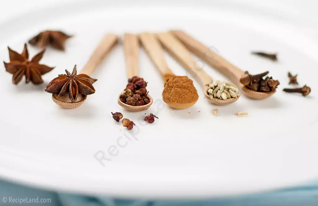 chinese five spice powder