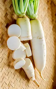 daikon (chinese icicle radish)