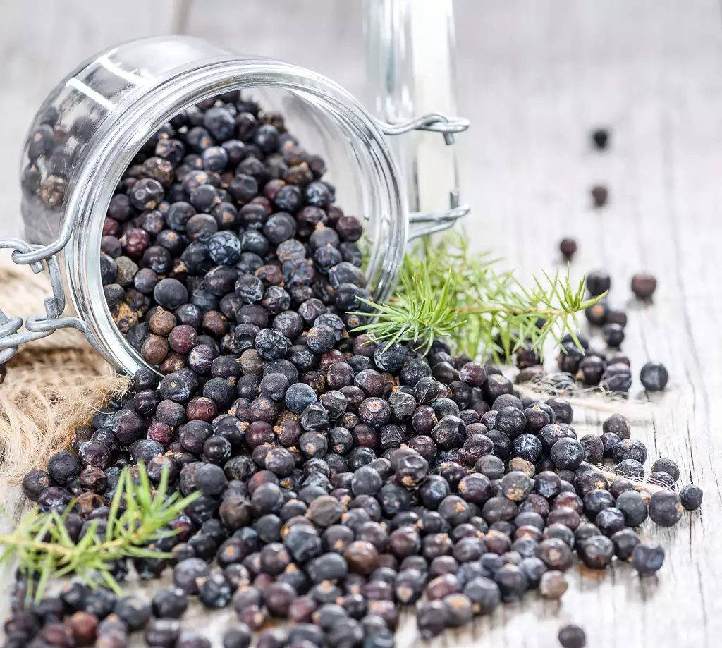 juniper berries