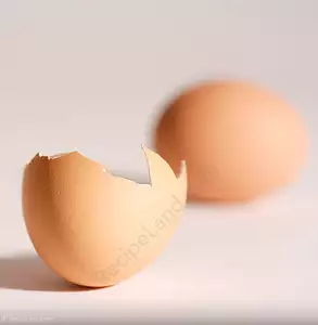 eggs