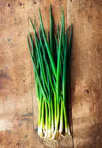 scallions, spring or green onions