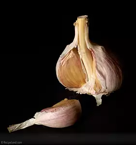 garlic cloves
