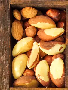 brazil nuts